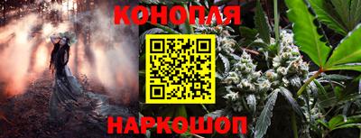 PSILOCYBIN Балаково