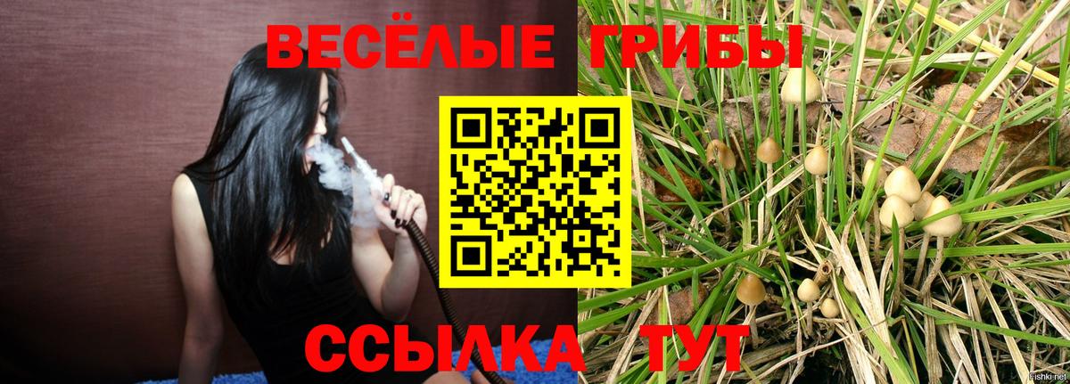 Галлюциногенные грибы мухоморы  Вход с VPN  Елец  Галлюциногенные грибы ЛСД 
