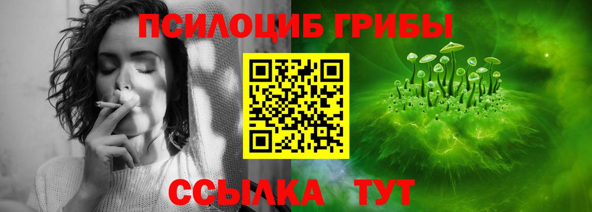 Галлюциногенные грибы мицелий Елец
